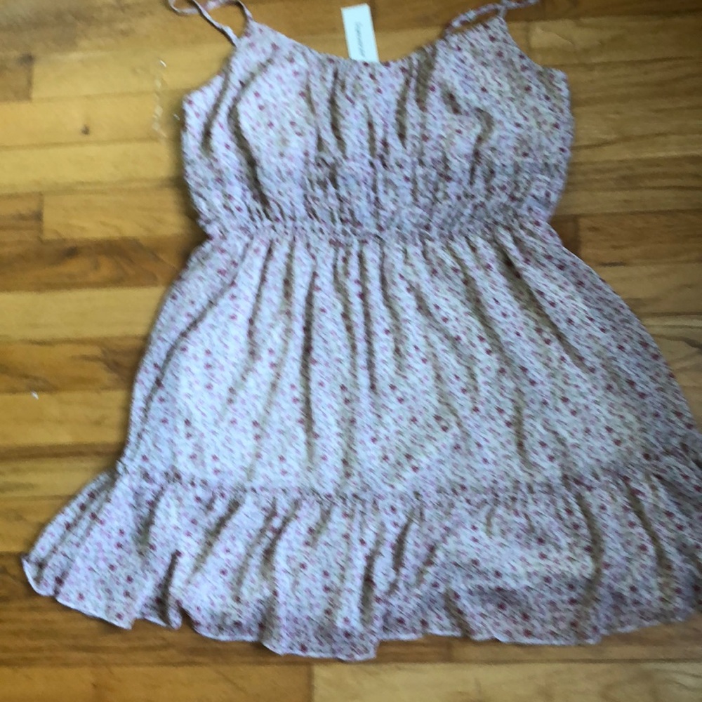 NWT Fransescas floral dress